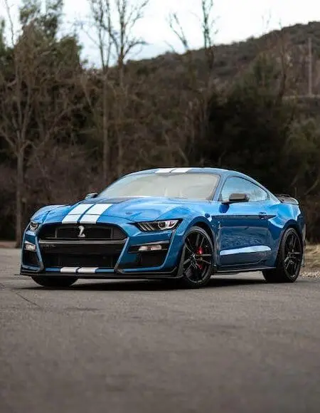 cta optional posters